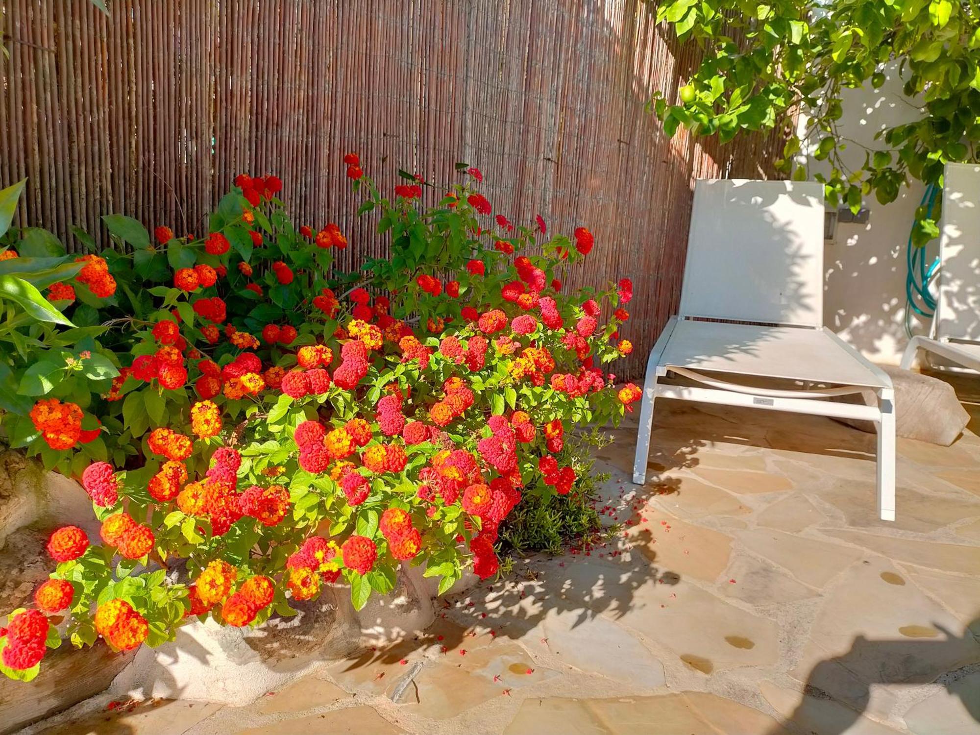 Casa Rural tía Salomé Sant Jordi Exterior foto